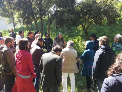 Incontro con Maria Sonia Baldoni sulle erbe spontanee 2017 2